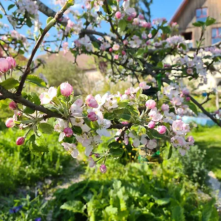 Beim Imker * Hohenstein