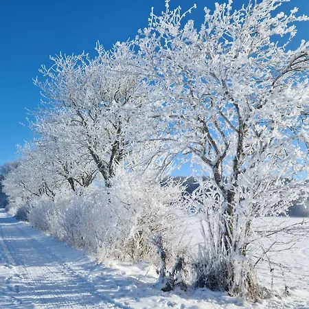 アパート Beim Imker